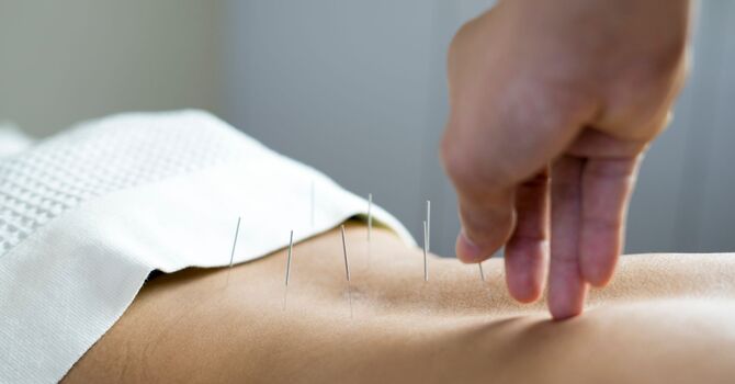 Licensed Massage Therapy and Acupuncturist